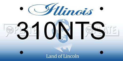 310NTS Illinois License Plate