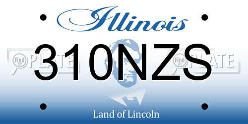 310NZS Illinois License Plate