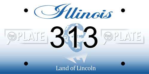 313 Illinois License Plate