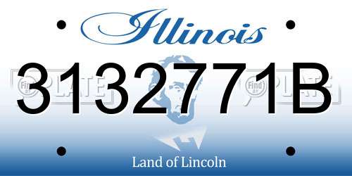 3132771B Illinois License Plate