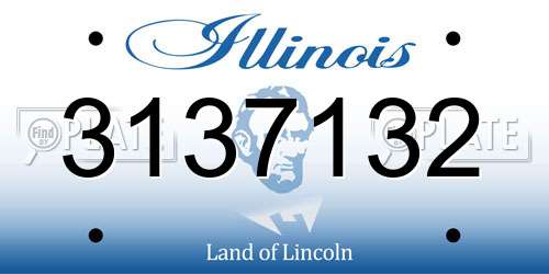 3137132 Illinois License Plate