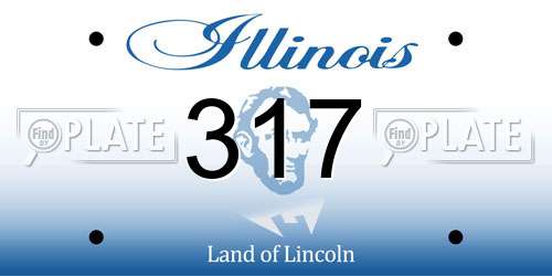 317 Illinois License Plate