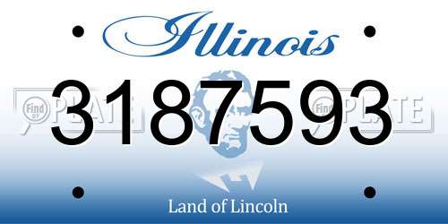3187593 Illinois License Plate