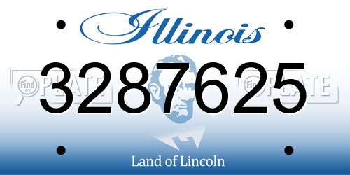 3287625 Illinois License Plate