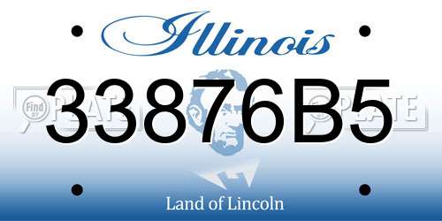 33876B5 Illinois License Plate