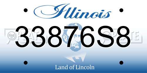 33876S8 Illinois License Plate