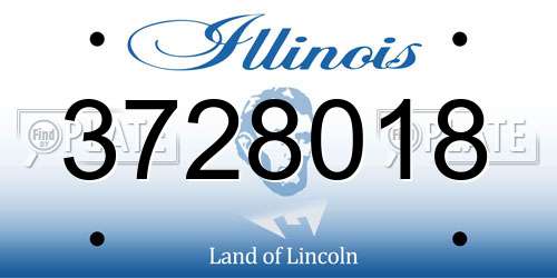 3728018 Illinois License Plate