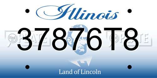 37876T8 Illinois License Plate