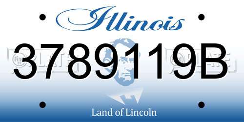 3789119B Illinois License Plate