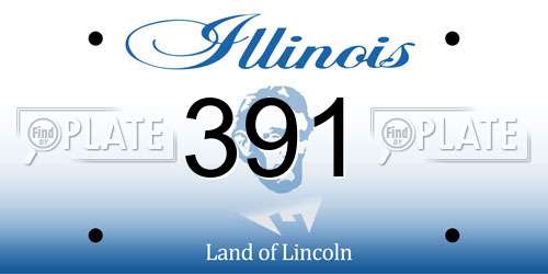 391 Illinois License Plate