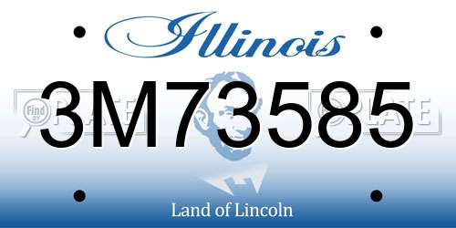 3M73585 Illinois License Plate