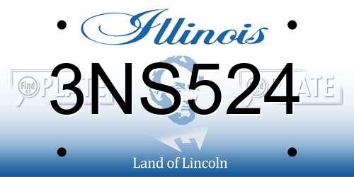 3NS524 Illinois License Plate