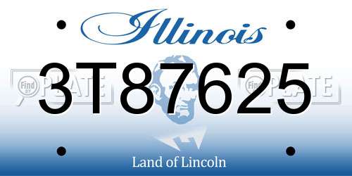 3T87625 Illinois License Plate