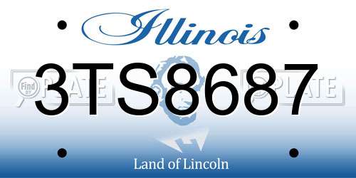 3TS8687 Illinois License Plate