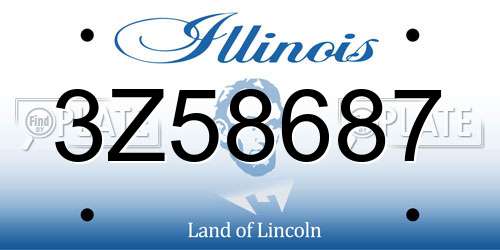 3Z58687 Illinois License Plate