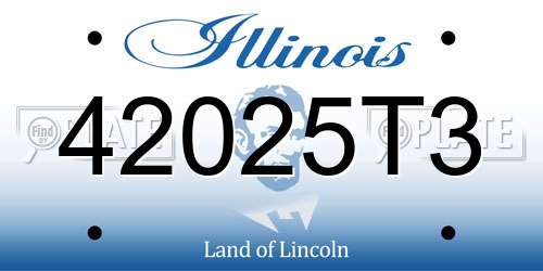 42025T3 Illinois License Plate