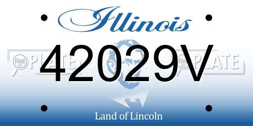 42029V Illinois License Plate