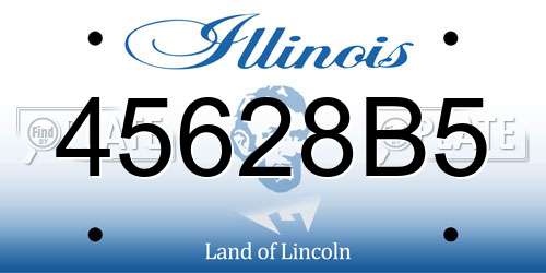 45628B5 Illinois License Plate