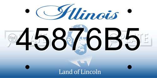 45876B5 Illinois License Plate