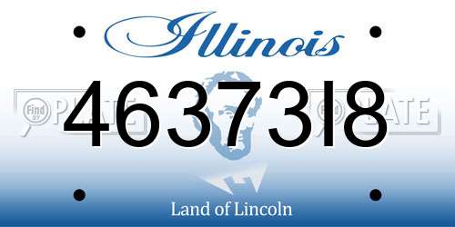 46373I8 Illinois License Plate