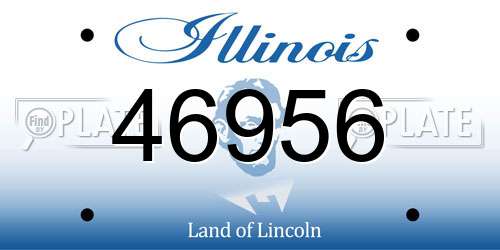 46956 Illinois License Plate