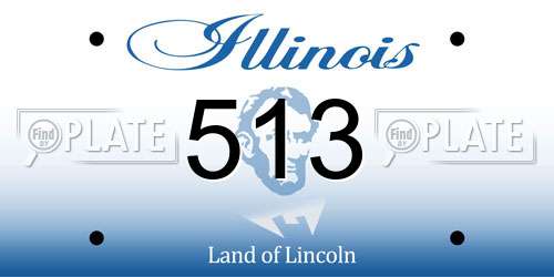 513 Illinois License Plate