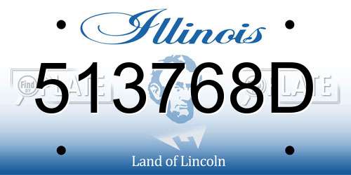 513768D Illinois License Plate