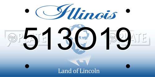513O19 Illinois License Plate