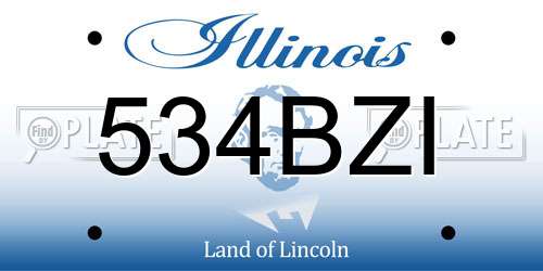 534BZI Illinois License Plate