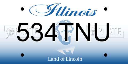 534TNU Illinois License Plate