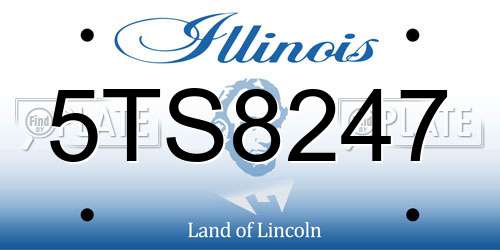 5TS8247 Illinois License Plate