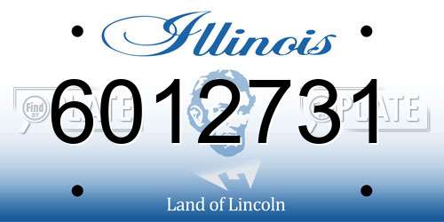 6012731 Illinois License Plate