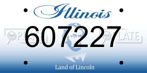 607227 Illinois License Plate