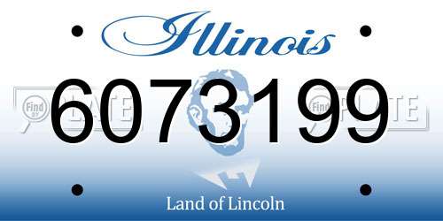 6073199 Illinois License Plate