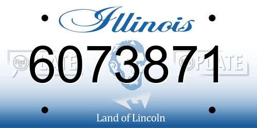 6073871 Illinois License Plate