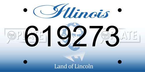 619273 Illinois License Plate