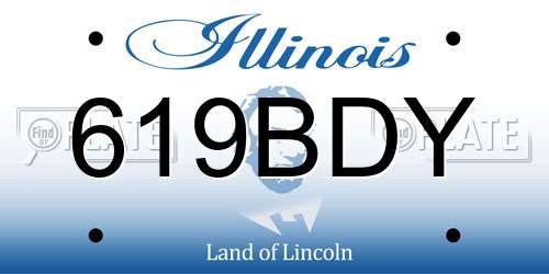 619BDY Illinois License Plate