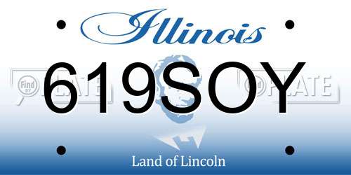 619SOY Illinois License Plate
