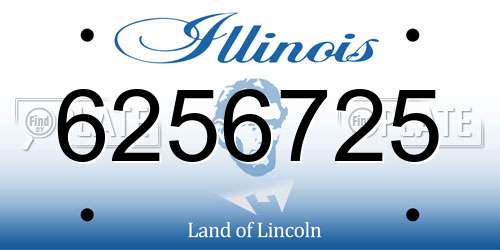 6256725 Illinois License Plate