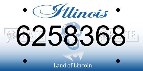 6258368 Illinois License Plate