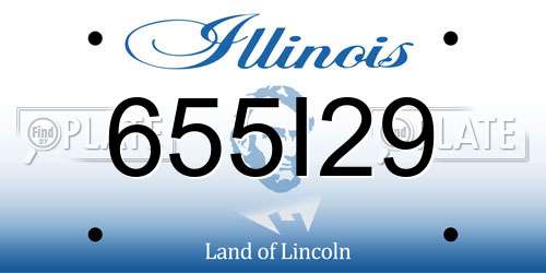 655I29 Illinois License Plate