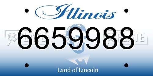 6659988 Illinois License Plate