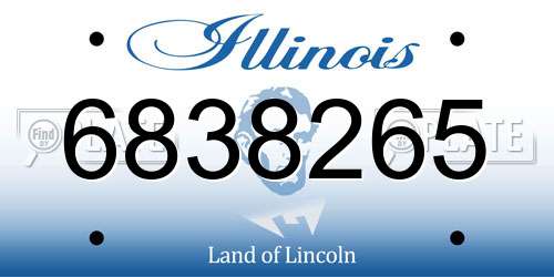 6838265 Illinois License Plate
