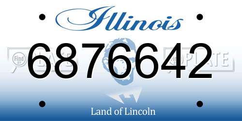 6876642 Illinois License Plate