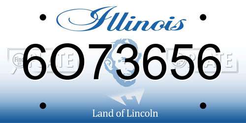 6O73656 Illinois License Plate