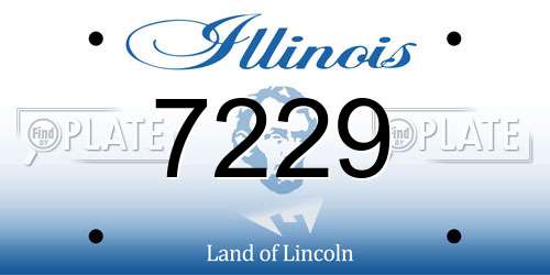 7229 Illinois License Plate