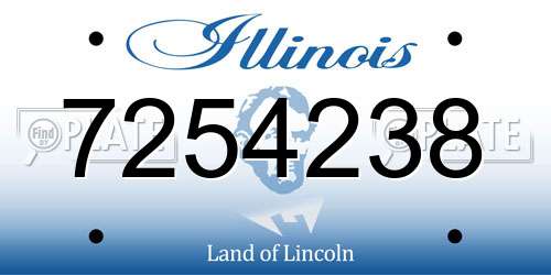 7254238 Illinois License Plate