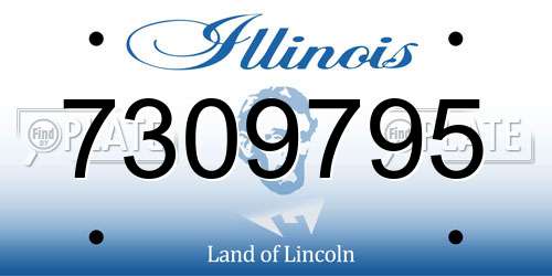 7309795 Illinois License Plate