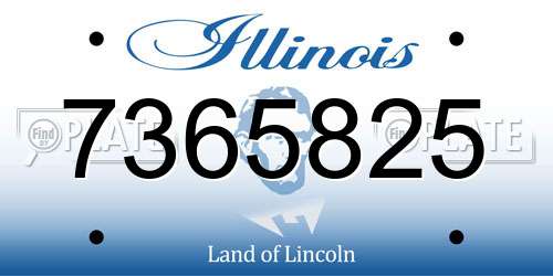 7365825 Illinois License Plate