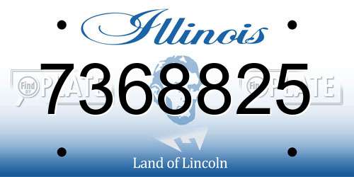 7368825 Illinois License Plate